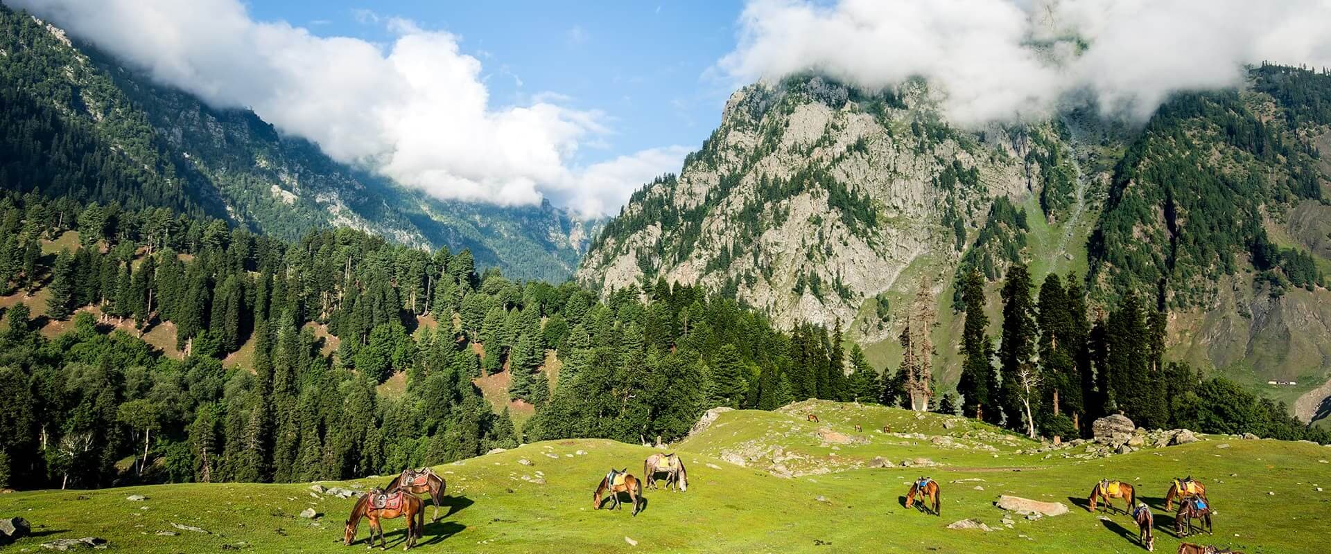 Kashmir Tour Package 4 Days 3 Nights Srinagar, Gulmarg, Pahalgam and Dal Lake