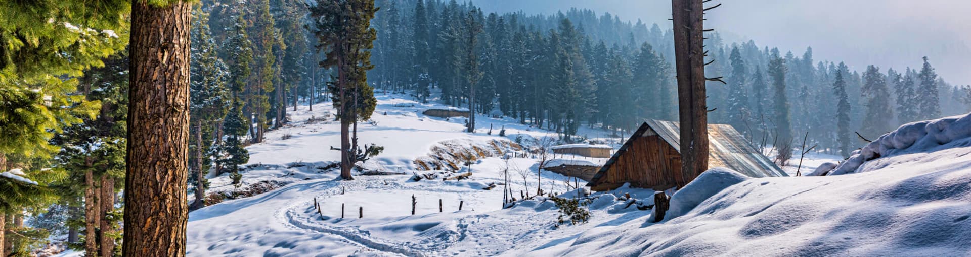 etripto-slider-img-1198