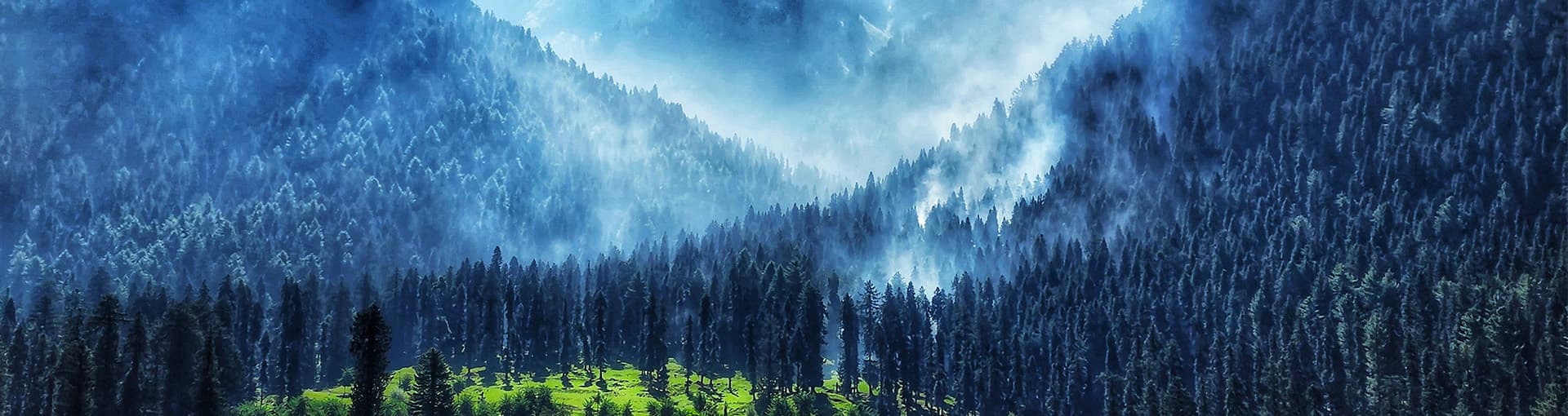 etripto-slider-img-1199