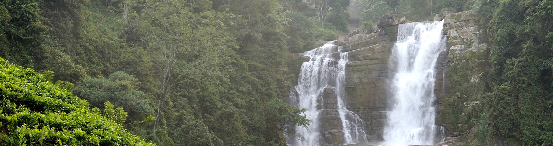 etripto-slider-img-1239