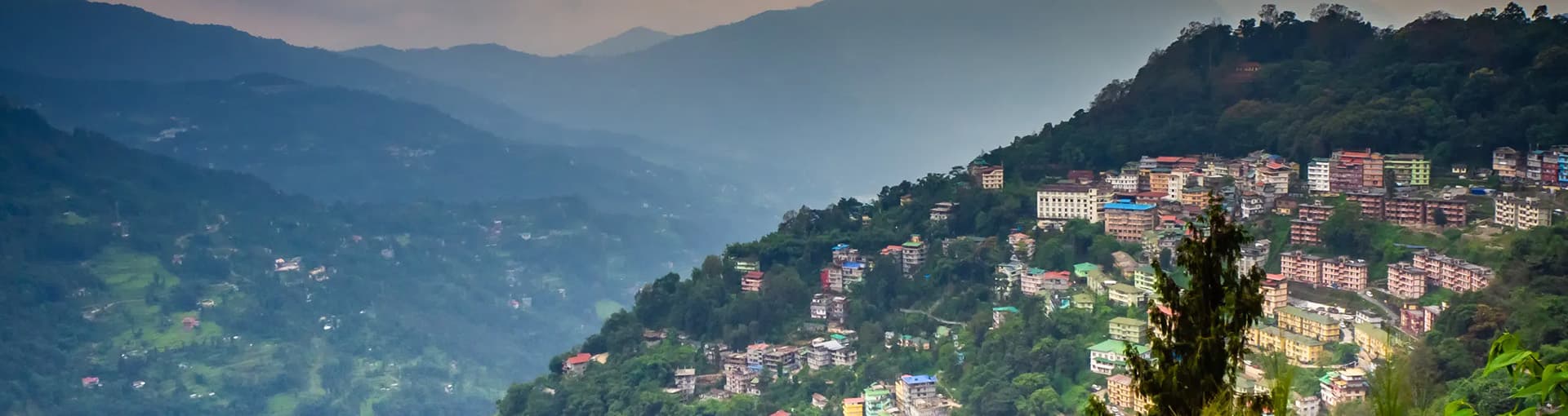 etripto-slider-img-1202