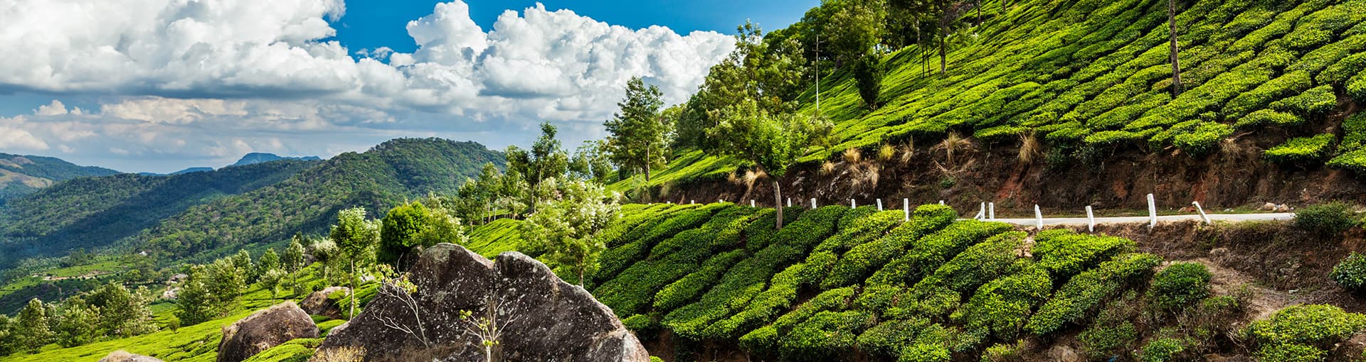 etripto-slider-img-1241