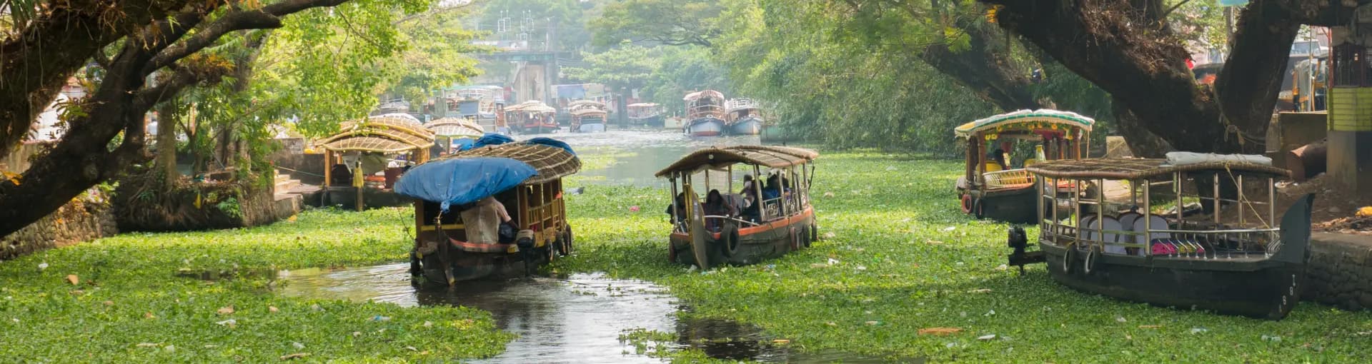 etripto-slider-img-1254