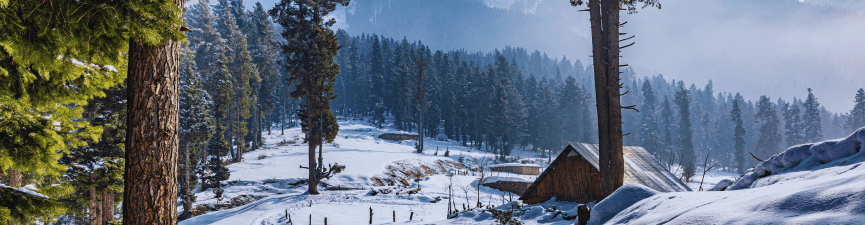 single-tour-banner-img