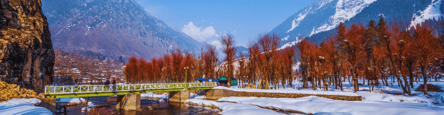 single-tour-banner-img