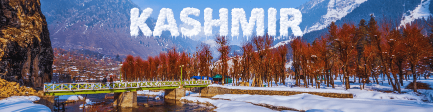 single-tour-banner-img