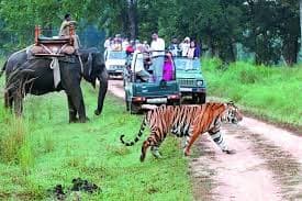 Corbett Tour Package From Delhi