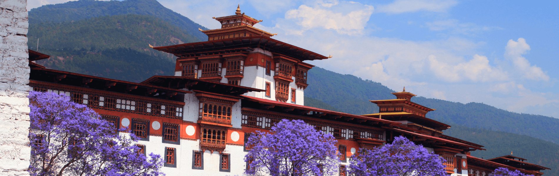 single-tour-banner-img