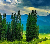 Arun-2467