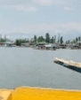 Sanchay Srivastava-507