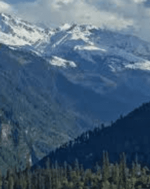 Ayush Hatila-2504