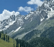Twinkle Kathuria-489