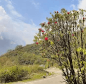 Sunny Chhabra-286