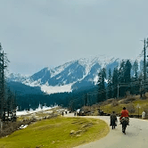 Sushil Verma-483