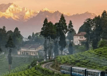 Tushar Sharan-2368