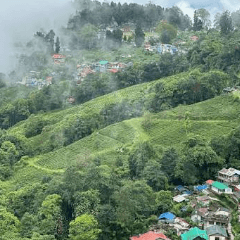 Vivek Modi-831