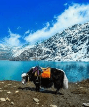 Pankaj Batham-231