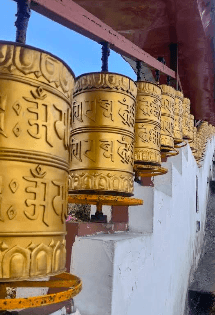 Sayansree Paria-1391