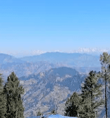 Rohit Rajwar-388