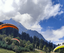 saddam mohd-2666