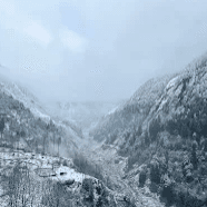 Shalvi Chougule-141