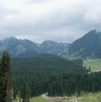 Ritesh Kumar-2465
