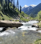Chayan Sharma-513