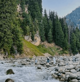 Sourabh Maheshwari-789