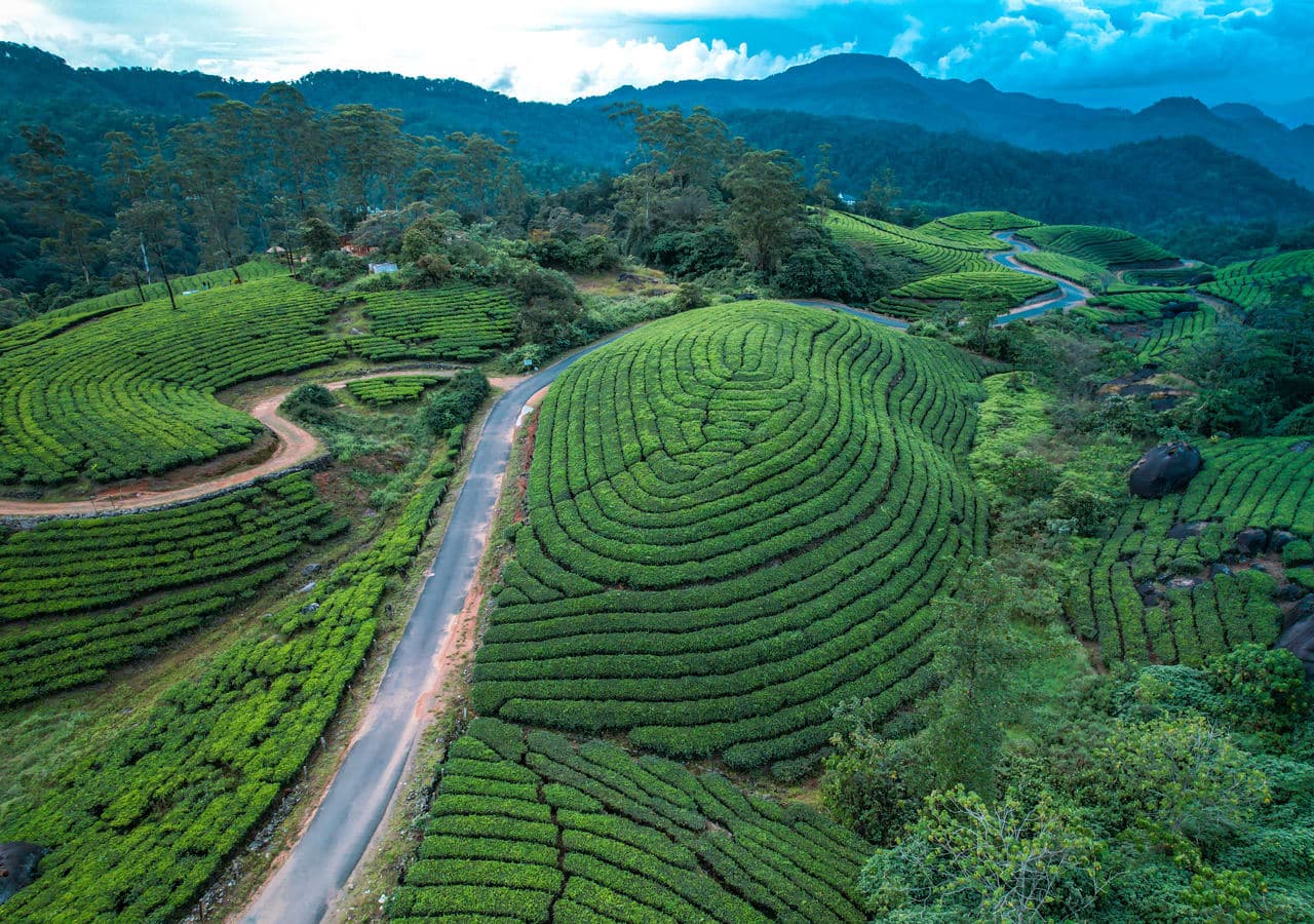 Best 10 Places to Visit in Munnar