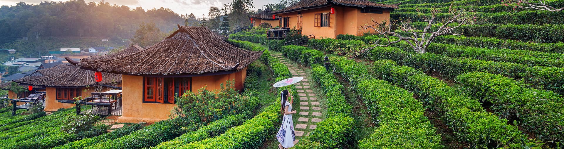 etripto-slider-img-1244