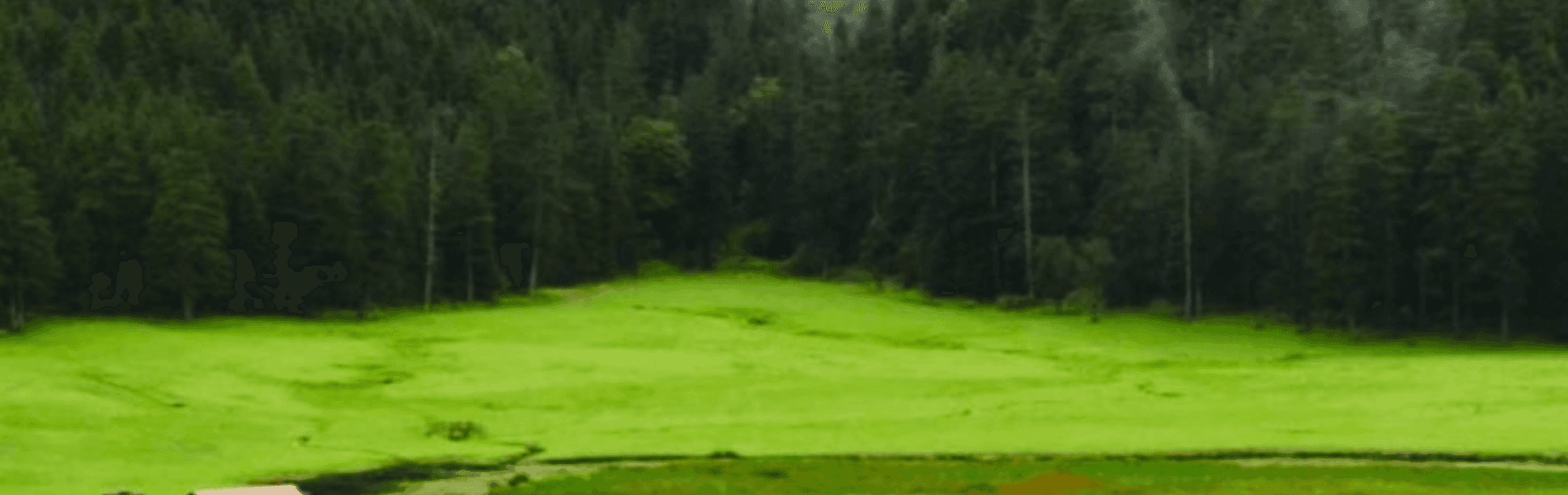 single-tour-banner-img