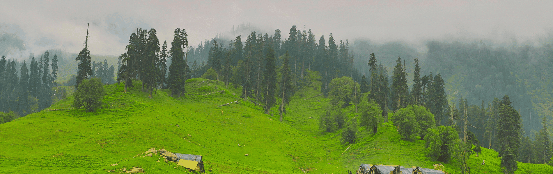 single-tour-banner-img