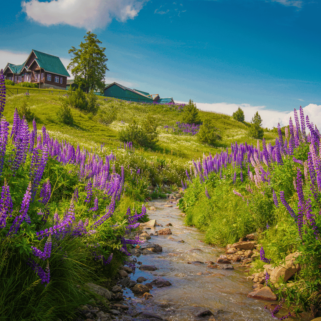 Best Places to Visit in Kashmir