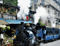 Parag Shingade-2455