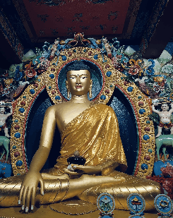 Suchi Kundu-1221