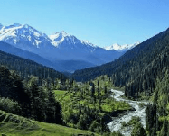 Anshul Daniel-855