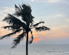Bhavana Reddy-1723