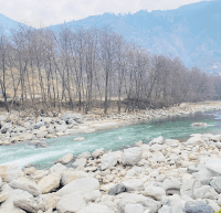 shyama shekhawat-2748