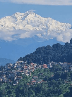 Subhajit Dutta-2326