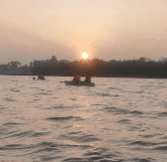 Anubhav Jana-621