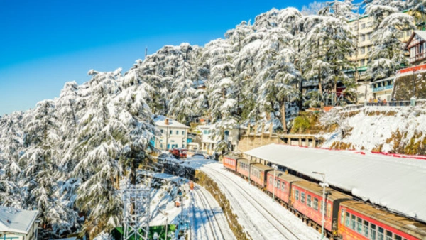 Shimla